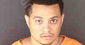 SHANN, JOSHUA ELIJAH | 2024-05-10 Sarasota County, Florida Booking