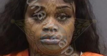 MINCEY,ERISHAE | 2024-05-11 09:24:00 Hillsborough County, Florida Booking