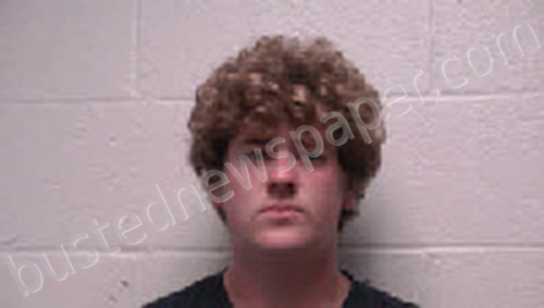 SEIPT, HOLDEN TYLER #, Robertson County, Tennessee - 2024-05-11 03:31:00