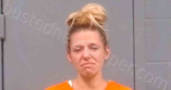 DEWITT, ALYSIA LEA | 2024-05-11 03:30:00 Preston County, West Virginia Booking