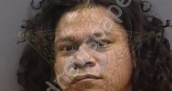 MANGOS,NICHOLAS | 2024-05-11 19:26:00 Hillsborough County, Florida Booking