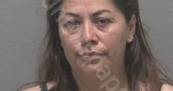 HERNANDEZ-MEJIA, ROSALINA | 2024-05-13 New Hanover County, North Carolina Booking