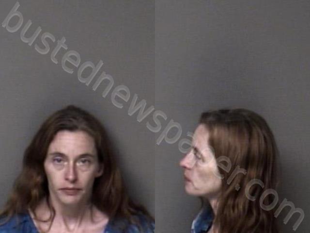 MARTIN, ROSE ANN #, Gaston County, North Carolina - 2024-05-13 03:10:00