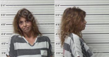 MESERVY, STEPHANIE APRIL | 2024-05-13 Kerr County, Texas Booking