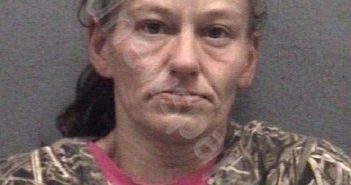 PUGH, KELLY ANNE | 2024-05-13 Muskegon County, Michigan Booking