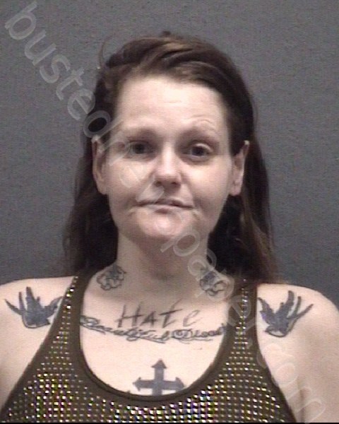 HINSON, KRISTIN RENEE #, Muskegon County, Michigan - 2024-05-14