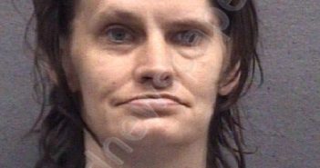 FAIRRIS, AMANDA LYNNE | 2024-05-14 Muskegon County, Michigan Booking