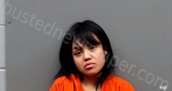 <B>GUZMAN</B>–<B>LOPEZ</B>, <B>GREGORIA</B> <B>BERNICE</B> #, Smith County, Texas - 2024-05-14