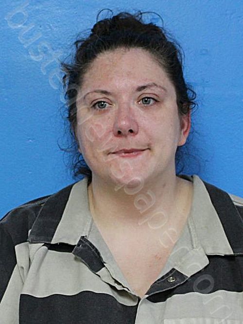HESS, JENNIFER RENA #, Sullivan County, Tennessee - 2024-05-14 08:42:00