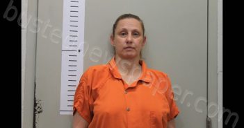 MCCOY, MARY ELLEN | 2024-05-14 13:41:00 Chilton County, Alabama Booking