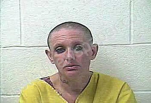 NELSON, JESSICA DAWN #, Daviess County, Kentucky - 2024-05-15 21:42:00