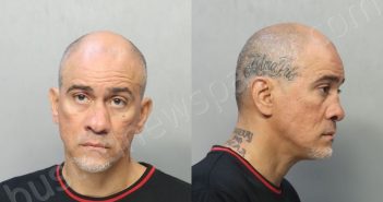 ANDRADES-CARLO, SAMUEL | 2024-05-17 12:22:00 Miami-Dade County, Florida Booking