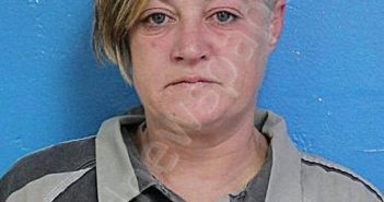 HOPKINS, VALERIE ROXANNE | 2024-05-18 22:58:54 Sullivan County, Tennessee Booking