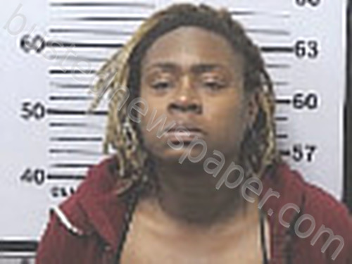 WASHINGTON, SHANNON NICOLE #, Mobile County, Alabama - 2024-05-18