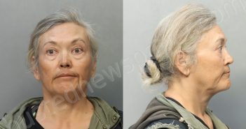 WILLIAMS, MASAKO LEE | 2024-05-19 03:24:00 Miami-Dade County, Florida Booking