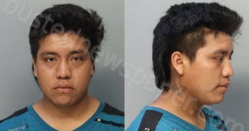 SALESDOMINGO, ROMEO | 2024-05-19 01:35:00 Miami-Dade County, Florida Booking