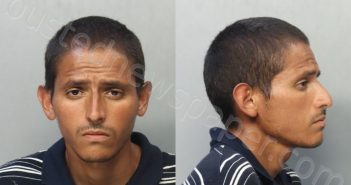 CAMARGO-GUTIERREZ, JOSHUA | 2024-05-19 03:07:00 Miami-Dade County, Florida Booking
