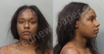 MOISE, LEILANI LAZARA | 2024-05-19 03:51:00 Miami-Dade County, Florida Booking