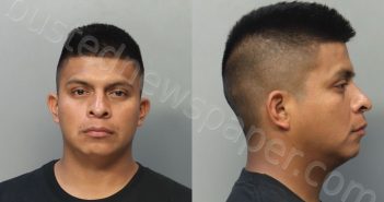 VICENTECHUN, ROBIN | 2024-05-19 03:19:00 Miami-Dade County, Florida Booking