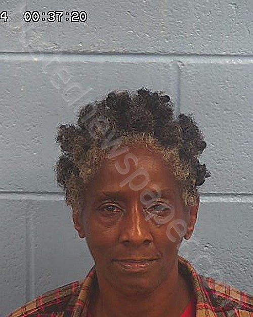 RICHARDSON, LORESSA ANNETTE #, Etowah County, Alabama - 2024-05-19 00:23:21