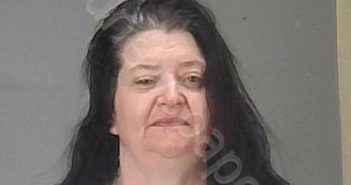 LYNCH, MICHELLE LYNN | 2024-05-21 01:53:00 Summit County, Ohio Booking