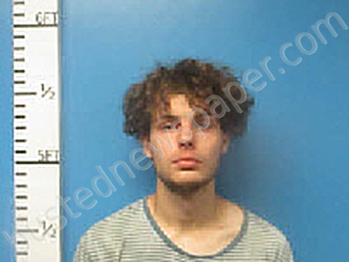 WISNER, GREGORY SHAUN #, Hardin County, Texas - 2024-05-22