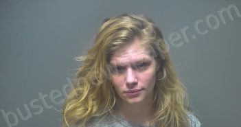 DISHNEAU, ALESHA DAWN | 2024-05-23 09:36:00 Isabella County, Michigan Booking