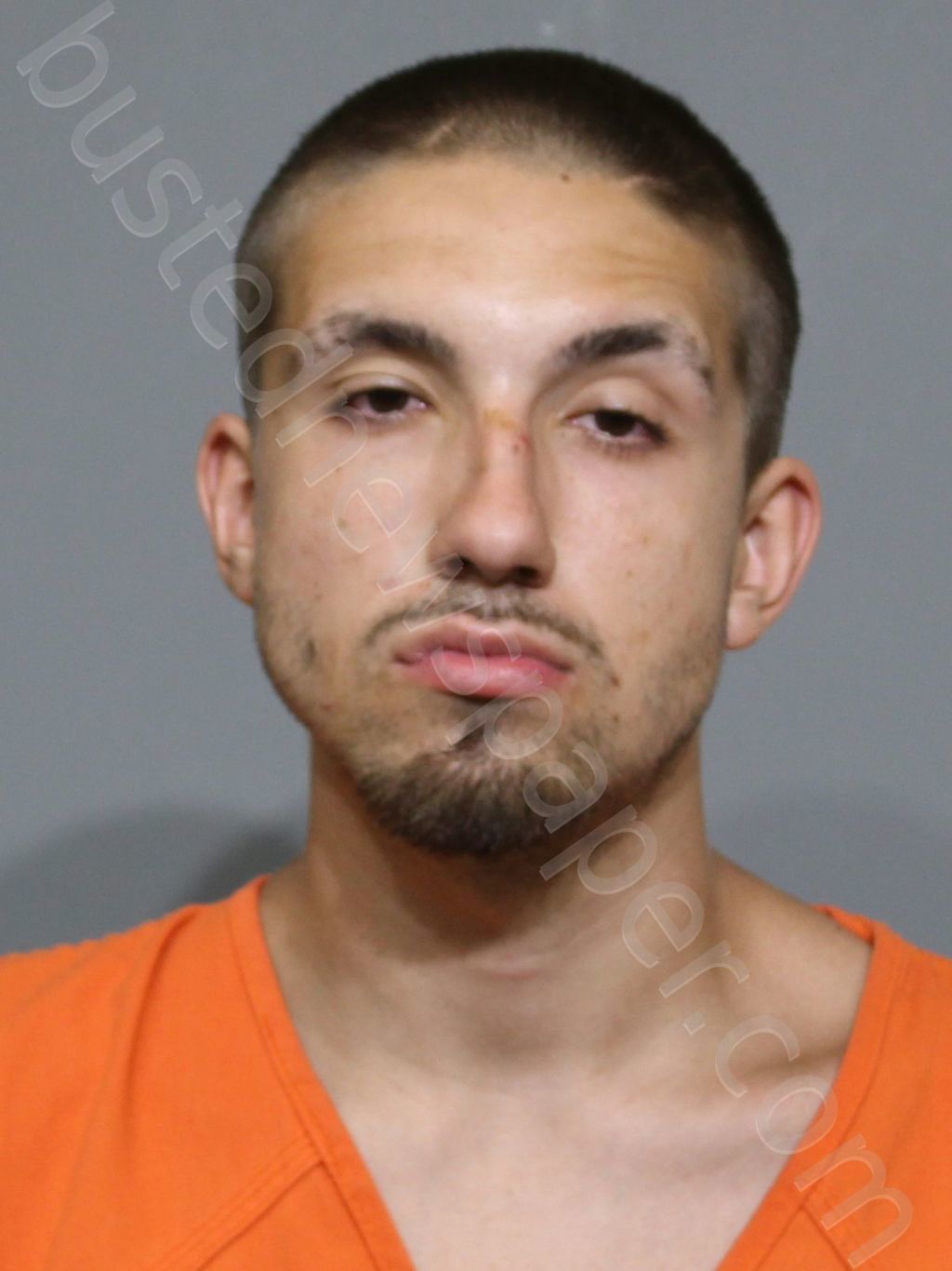 PITTMAN, ADRIAN HUNTER #, York County, South Carolina - 2024-05-23 20:23:08