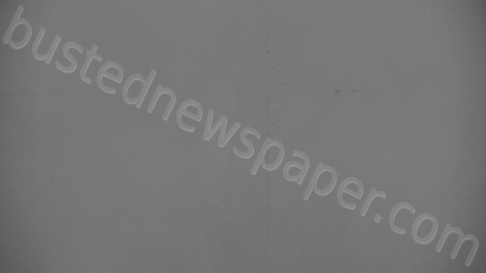 Higginbothom, Catherine 20240526 030958 Vigo County, Indiana Booking