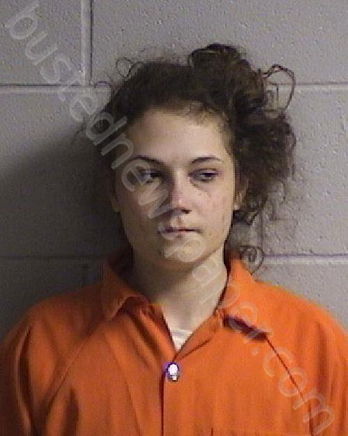 GREER, SAVANNAH SIERRA CYNTHIA #, Dickinson County, Kansas - 2024-05-27 02:30:00