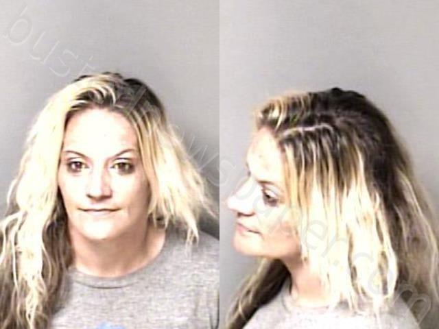 SARMIENTO, JENNIFER ELAINE #, Gaston County, North Carolina - 2024-05-27 09:17:00