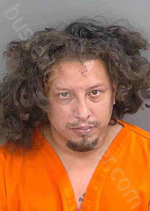 ALVAREZ,JONATHAN JOSE #, Collier County, Florida - 2024-05-27