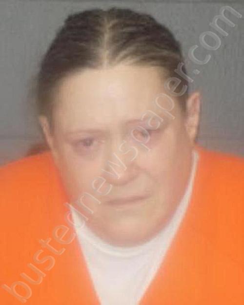 VANHOESEN, MARGARET ANN #, Delaware County, New York - 2024-05-28 18:16:00