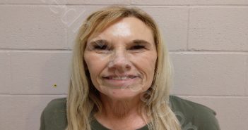 WETZEL, BRENDA | 2024-05-28 20:16:00 Brown County, Texas Booking
