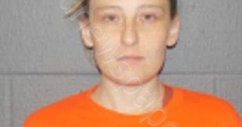 COONS, SUMMER BLAIZE | 2024-05-28 18:19:00 Delaware County, New York Booking