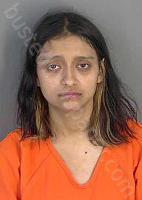 ALVARADO,AALIYAH #, Collier County, Florida - 2024-05-28
