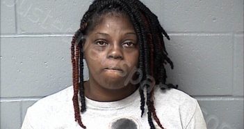 WARD, <B>STEPHANIE</B> I #, <b>Woodford</b> County, Illinois, Woodford County, Illinois - 2024-05-29