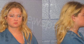 CHAPMAN, HANNAH MARY | 2024-05-29 Andrews County, Texas Booking