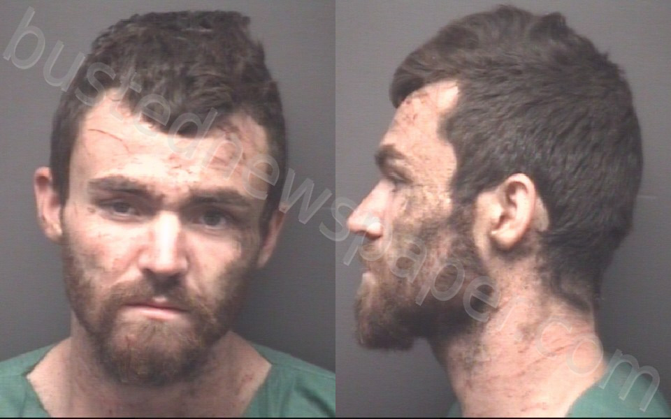 JOHNSON, DYLAN MICHAEL #, Pitt County, North Carolina - 2024-05-30