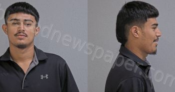 <B>GUZMAN</B>, CHRISTIAN <B>MARTIN</B> #, Hidalgo County, Texas - 2024-05-30