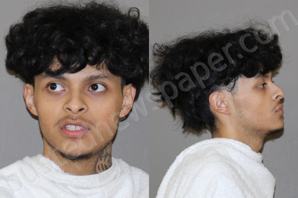 ALVAREZ, RYAN DANIEL #, Denton County, Texas - 2024-05-31