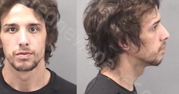 SWAERS, KENNETH D | 2024-05-31 16:49:00 Kankakee County, Illinois Booking