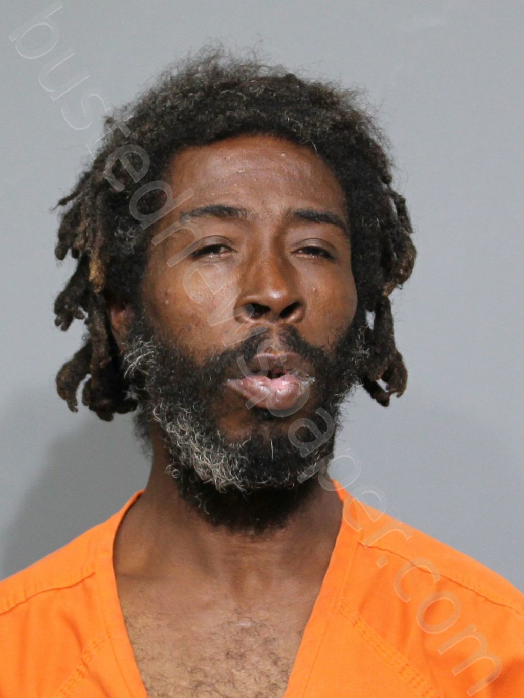 WATTS , WILLIE NEAL #, York County, South Carolina - 2024-06-01 18:40:56