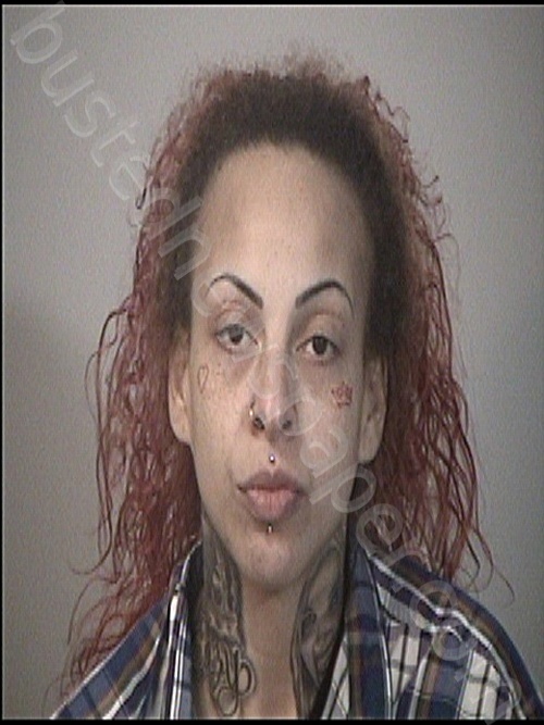 DULL, MARINA RAVENLYNN #, Rappahannock Regional Jail, Virginia - 2024-06-01 18:06:00