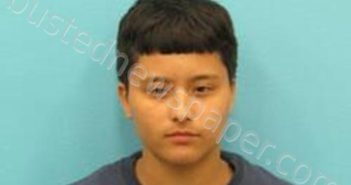 JADELIN TREVINO | 2024-06-01 20:12:00 Kendall County, Texas Booking