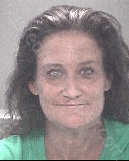 BALDWIN, ELIZABETH AMANDA #, Pasco County, Florida - 2024-06-01 22:28:00