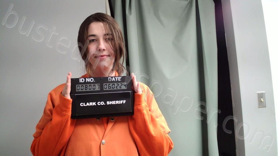 POJE, CHEYENNE GRACE #, Clark County, Missouri - 2024-06-02 20:24:00