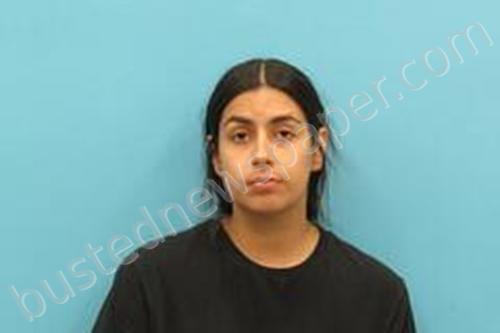 DANA LOPEZ #, Kendall County, Texas - 2024-06-02 21:18:00