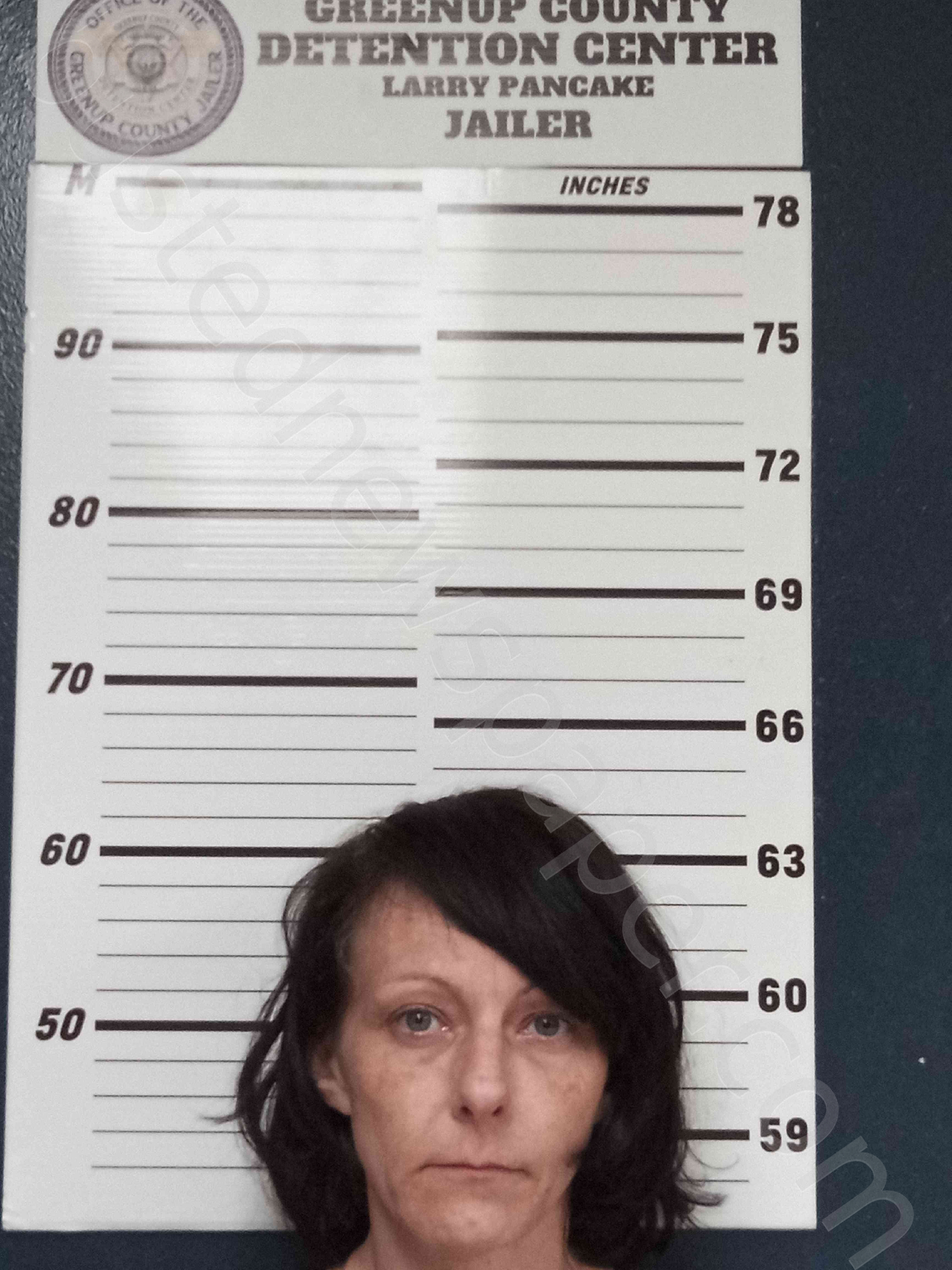 Henry, Amanda 20240603 Greenup County, Kentucky Booking