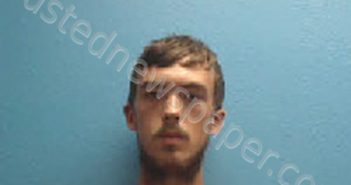 <B>WILLIAMS</B>, <B>TREVOR</B> <B>GAGE</B> #, Desoto County, Florida - 2024-06-03 12:58:00
